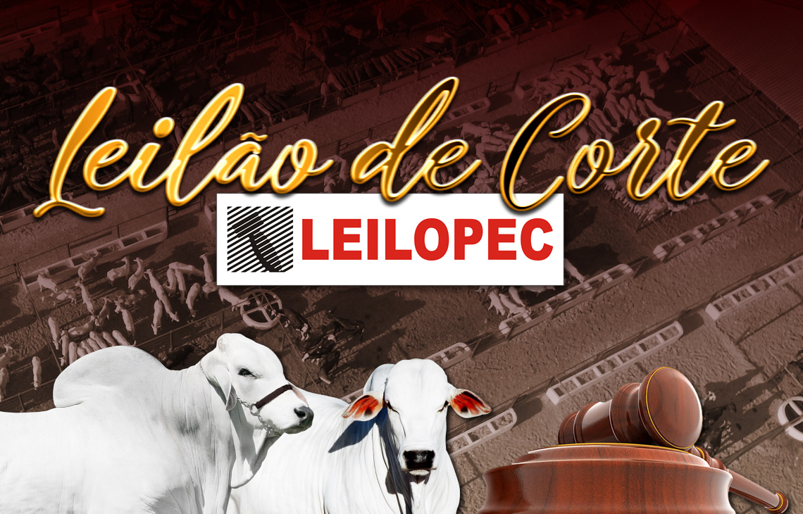 1354º Leilão de Corte da Leilopec